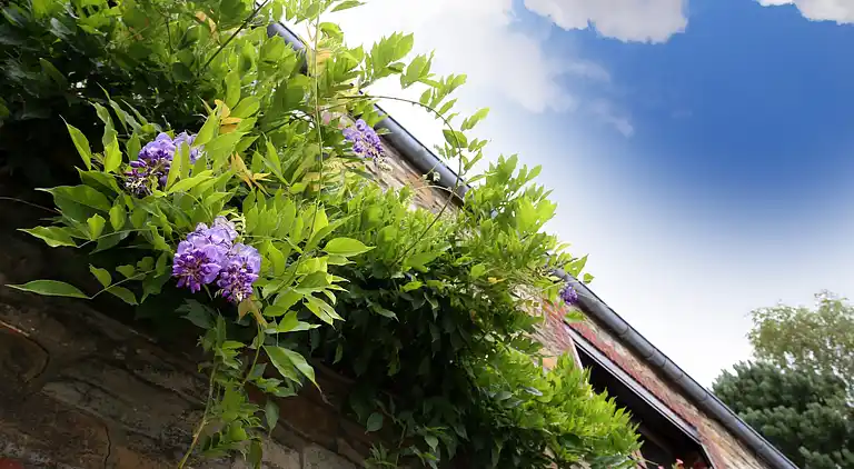 Feriebolig i Saint-Gérard