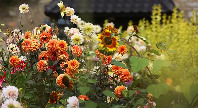 Feriebolig i Saint-Gérard