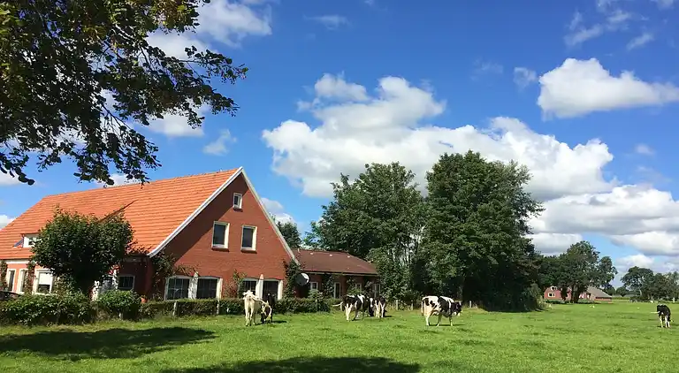 Sommerhus i Rhauderfehn