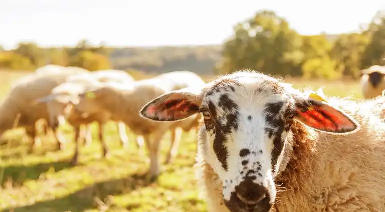 Holiday home in Loubejac