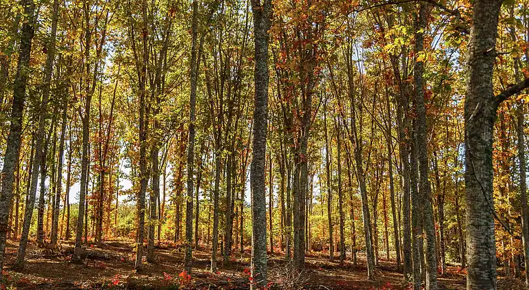 Holiday home in Loubejac