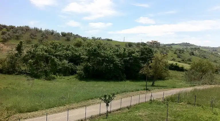 Holiday home in Picciano