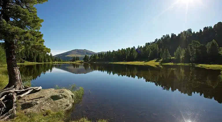 Apartment in Moarschaft