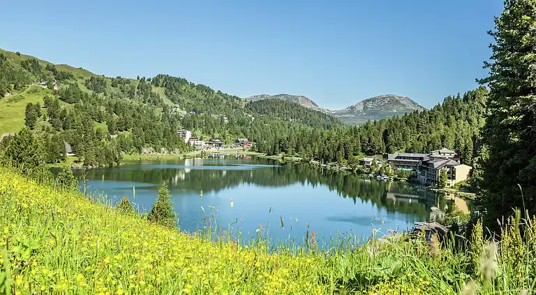 Cottage in Moarschaft