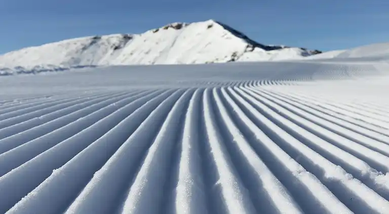 Apartment in Moarschaft