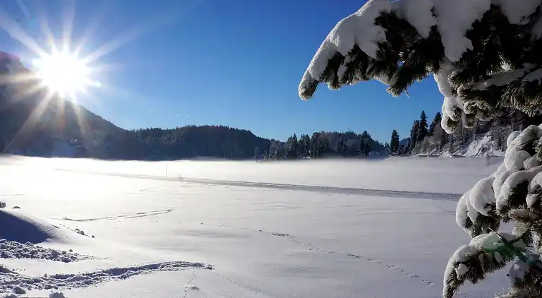 Cottage in Moarschaft