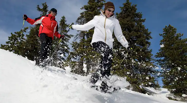 Cottage in Moarschaft