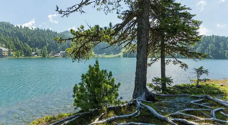 Cottage in Moarschaft