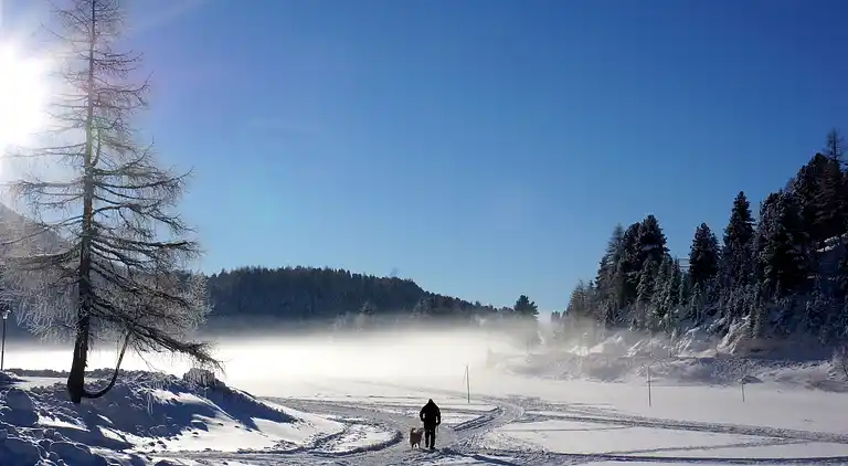 Cottage in Moarschaft