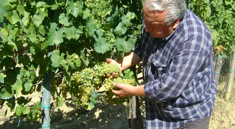 Farm house in Arezzo