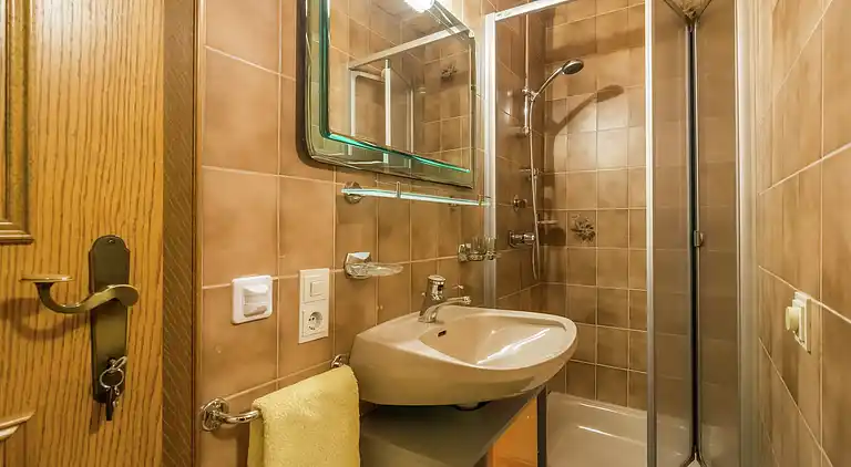 Apartment in Maishofen