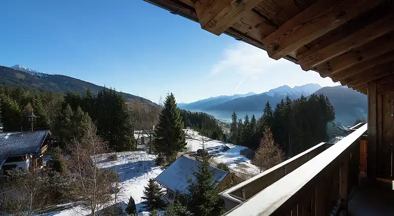 Apartment in Mittersill