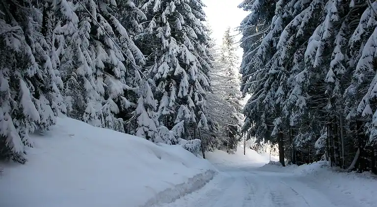 Holiday home in Gschriet