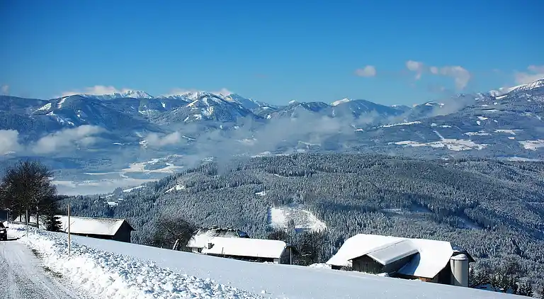 Holiday home in Gschriet