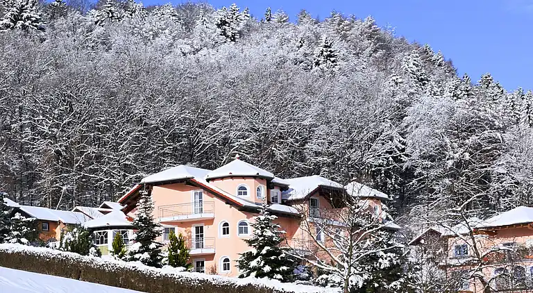 Ferielejlighed i Rattiszell