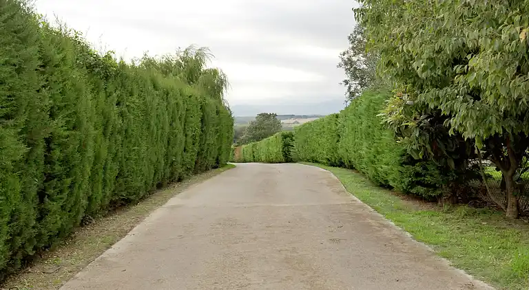 Herregård i Sant Andreu Salou