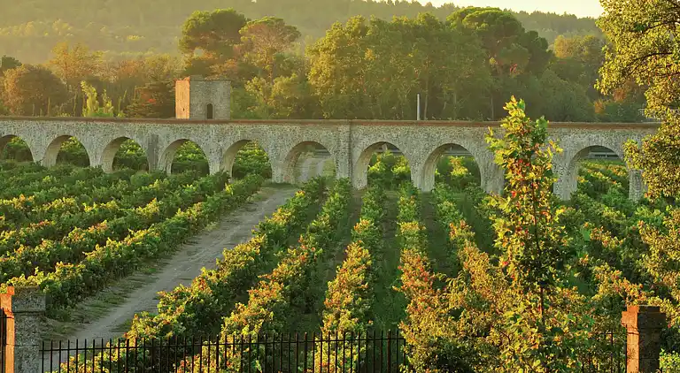 Apartment in Roquecourbe-Minervois