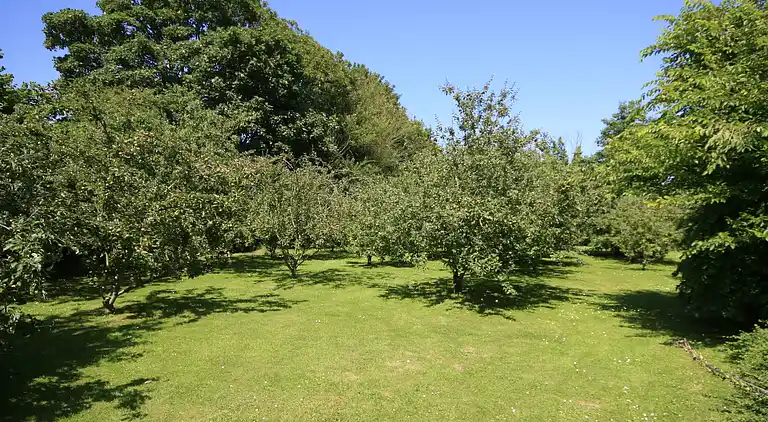 Ferienhaus in Plounéour-Brignogan-plages
