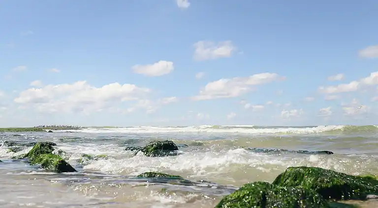 Vakantiehuis in Callantsoog