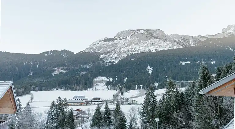 Cottage in Annaberg im Lammertal
