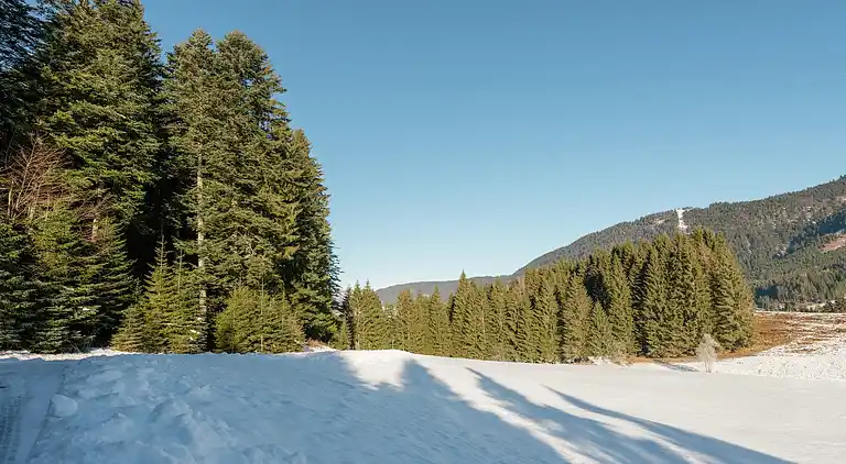 Cottage in Annaberg im Lammertal