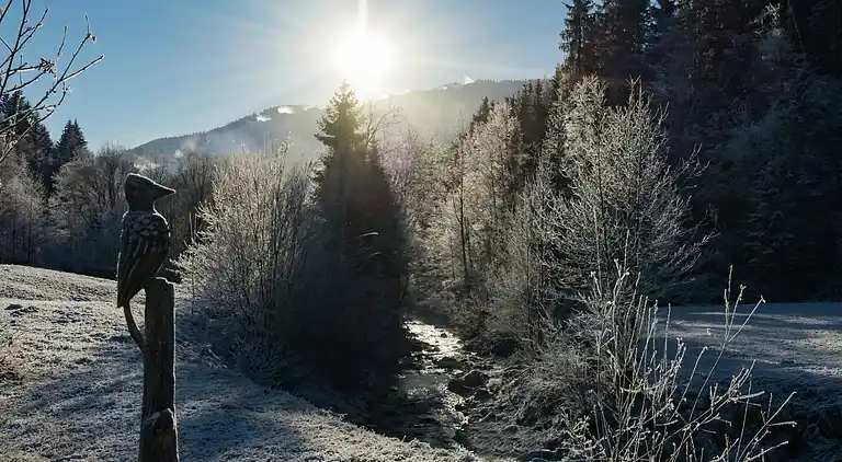 Holiday home in Leogang