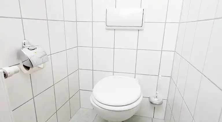 Apartment in Unterwürschnitz