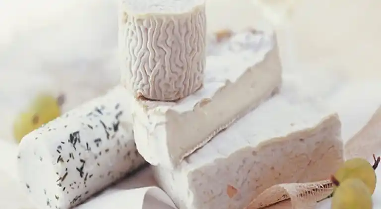 Holiday home in Burzet