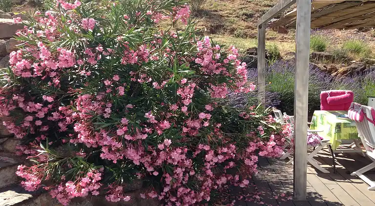 Ferielejlighed i Lablachère