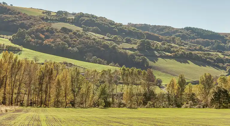 Holiday home in Réquista