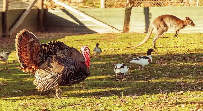 Holiday home in Réquista