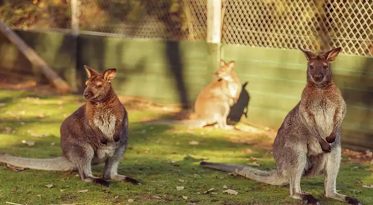 Casa de vacaciones en Connac