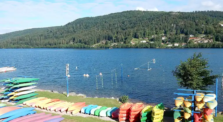 Ferielejlighed i La Bresse