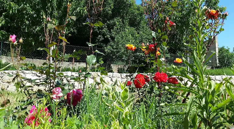 Casa vacanze in Knin