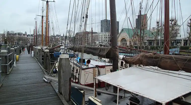 Sommerhus i Rotterdam