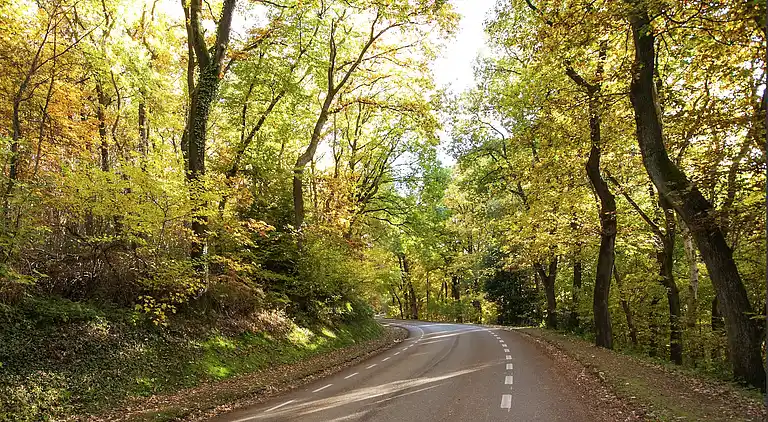 Ferielejlighed i Schin op Geul