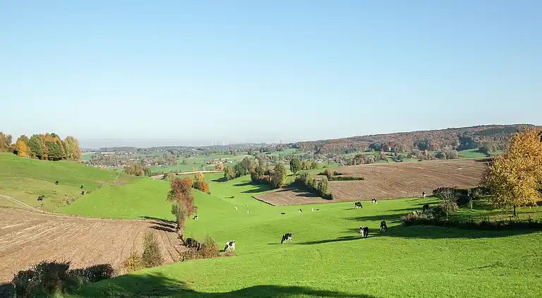 Ferielejlighed i Schin op Geul