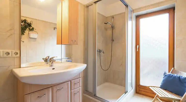 Apartment in Forstau