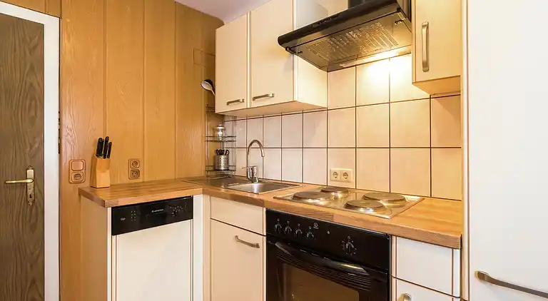 Apartment in Forstau