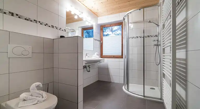 Cottage in Viehhofen