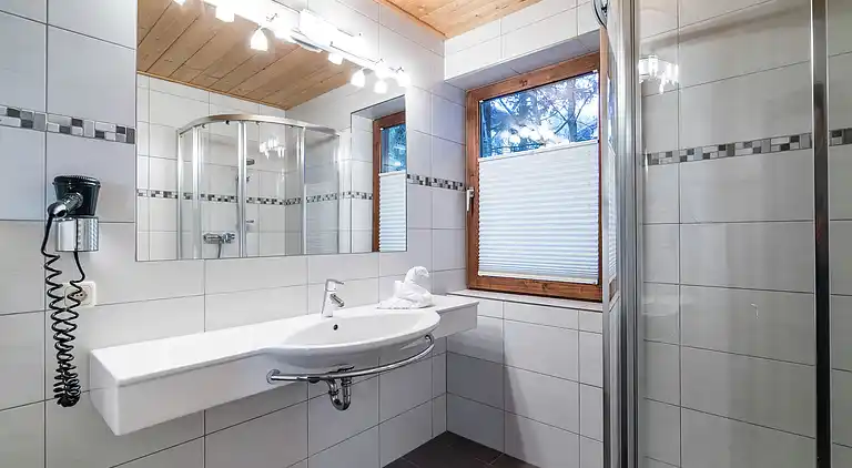 Cottage in Viehhofen