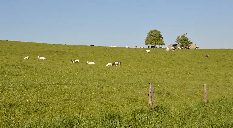 Sommerhus i Rochefort