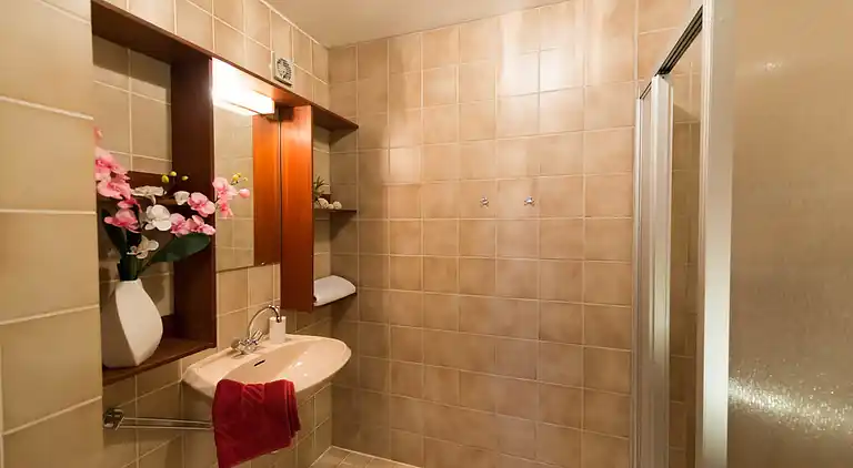 Ferielejlighed i Neuschönau