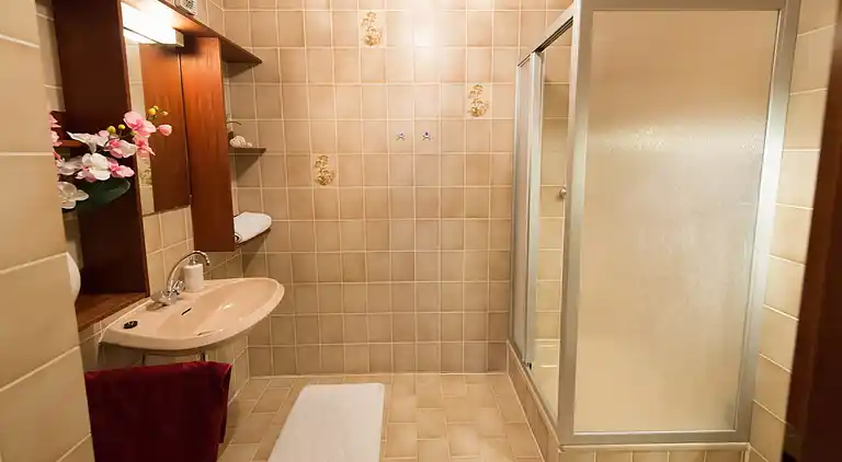 Ferielejlighed i Neuschönau