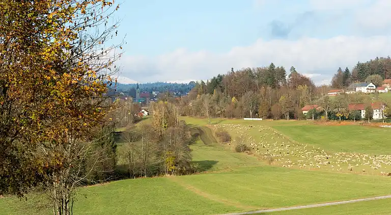 Ferielejlighed i Neuschönau