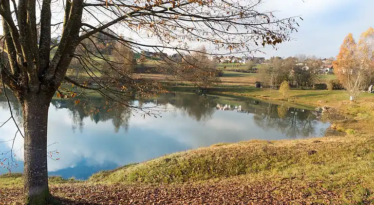 Ferielejlighed i Neuschönau