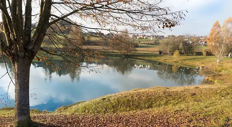 Ferielejlighed i Neuschönau