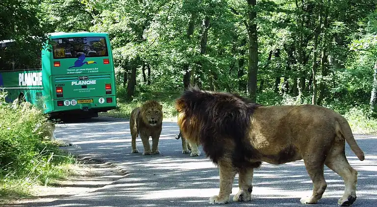 Leilighet i Davézieux