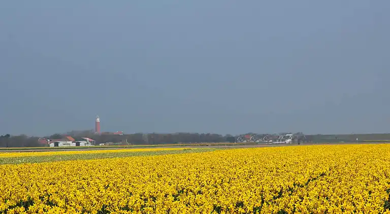 Manor house in De Cocksdorp