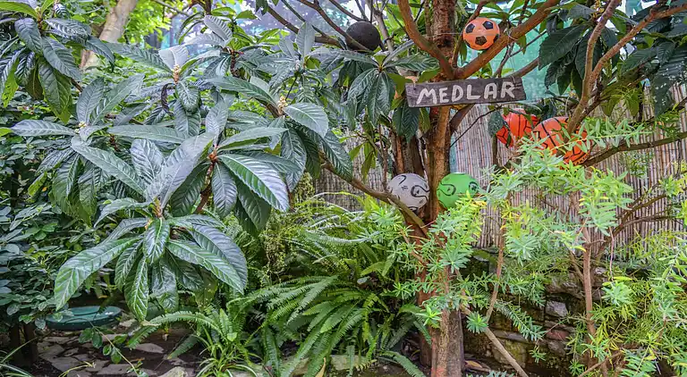 Herrgård i Sorrento